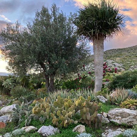 Casa Balata Farm House Реалмонте Екстериор снимка